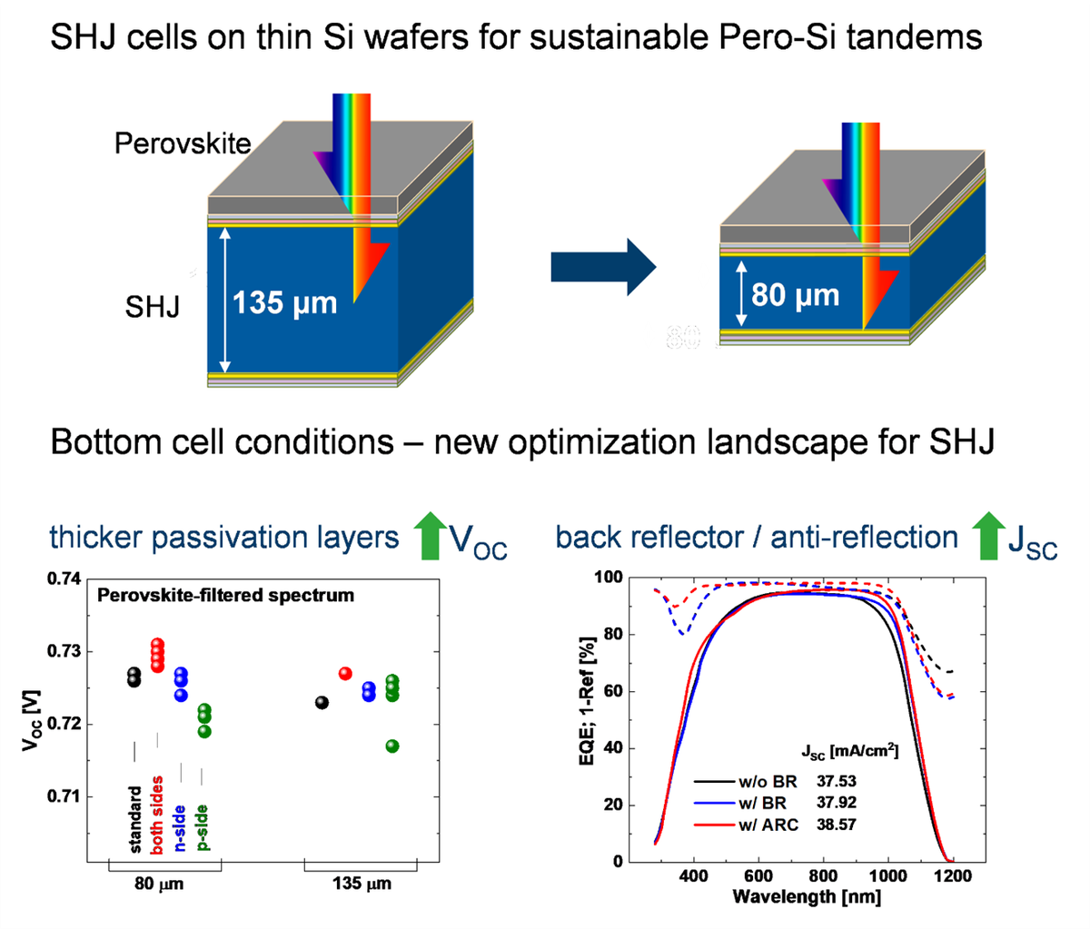 Thin silicon heterojunction solar cells in perovskite shadow: Bottom cell prospective